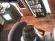 webcam heather